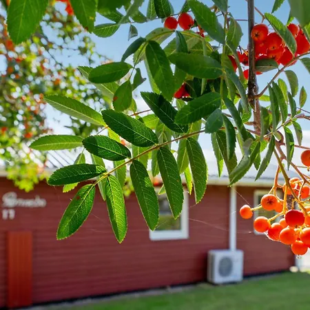 Haderslev 2 * Haderslev